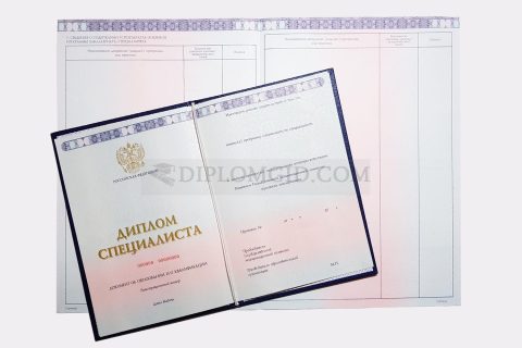 диплом РГСУ